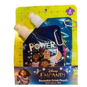Reusable Drink Pouch/ Flask, Disney’s Encanto 2pk, New
